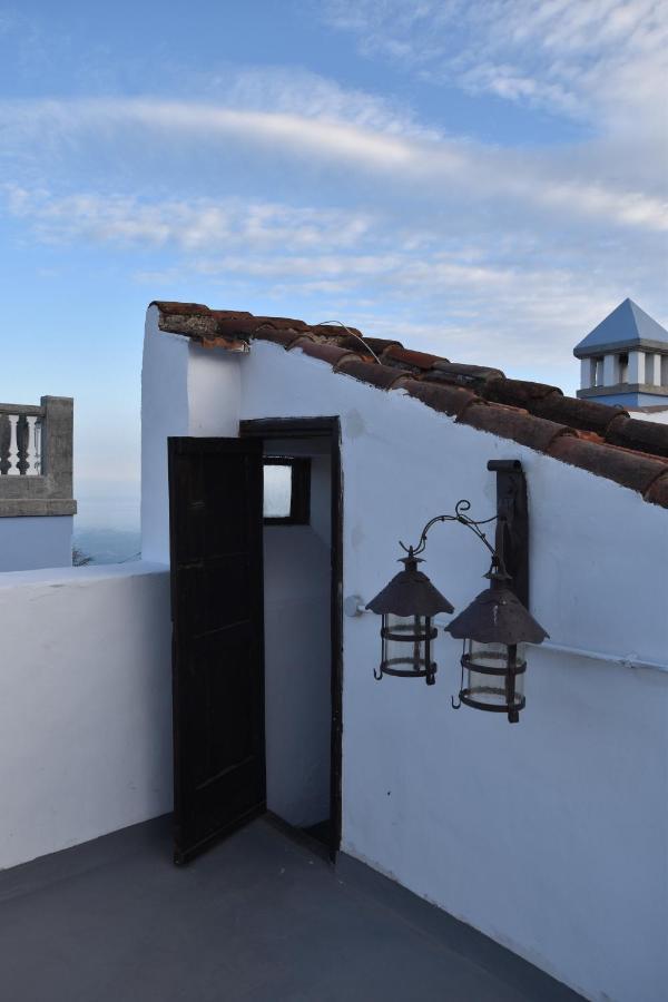 Hôtel Gato Azul - Coliving à La Orotava Extérieur photo